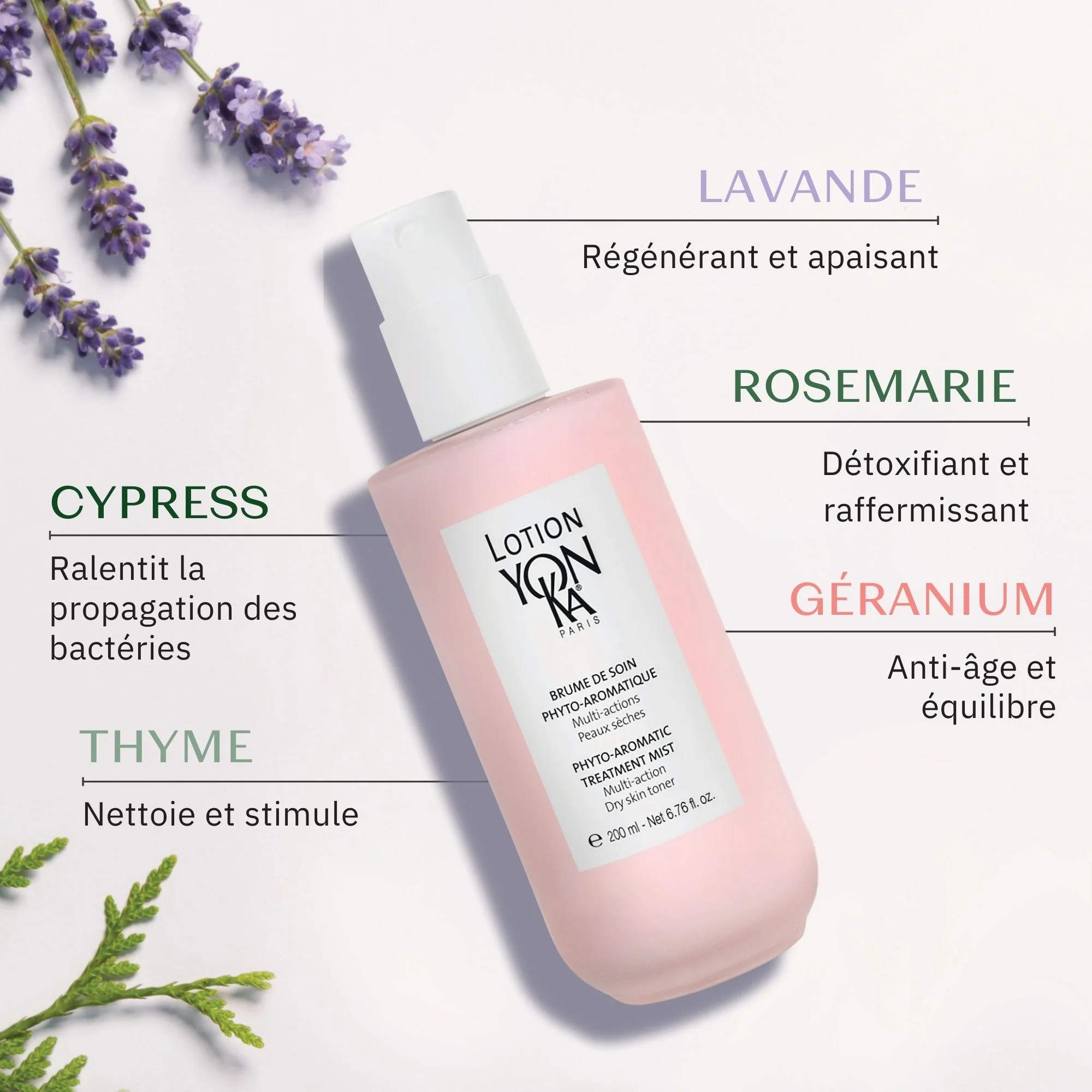 CADEAU Lotion PS - Image 10