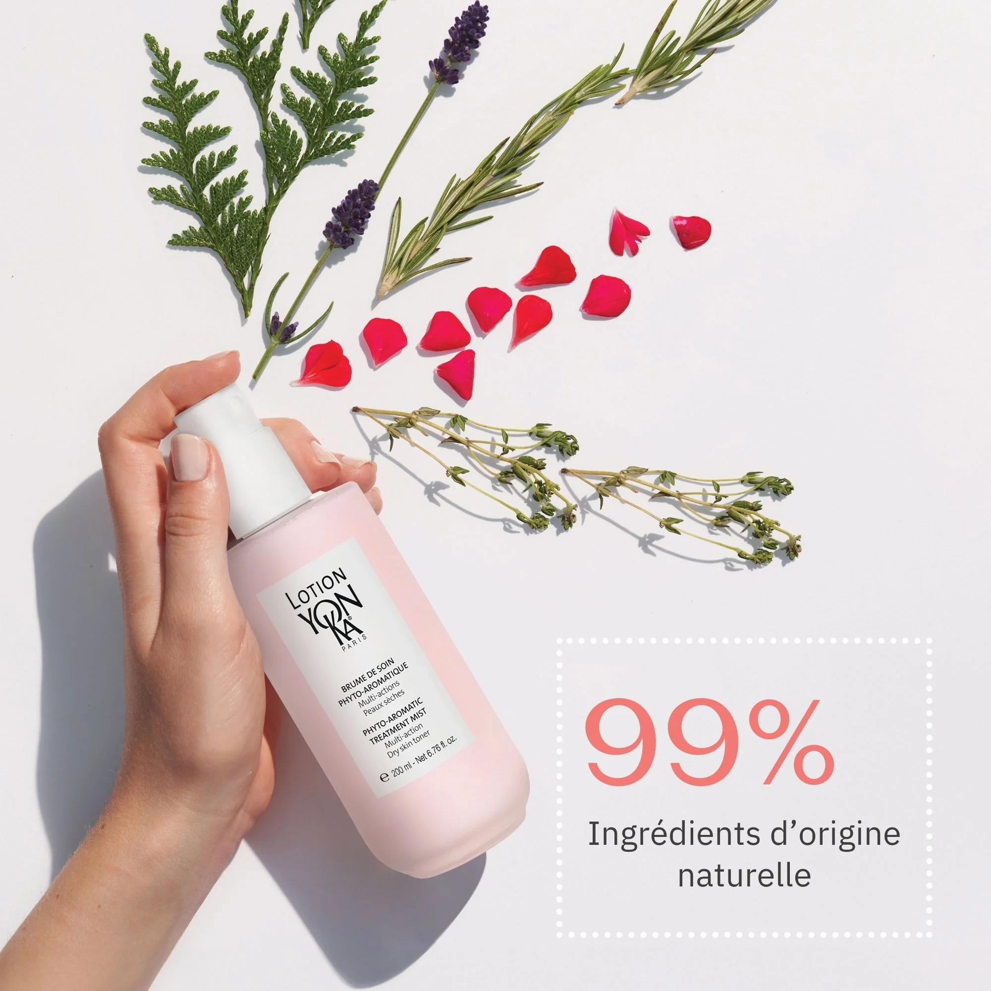 CADEAU Lotion PS - Image 8