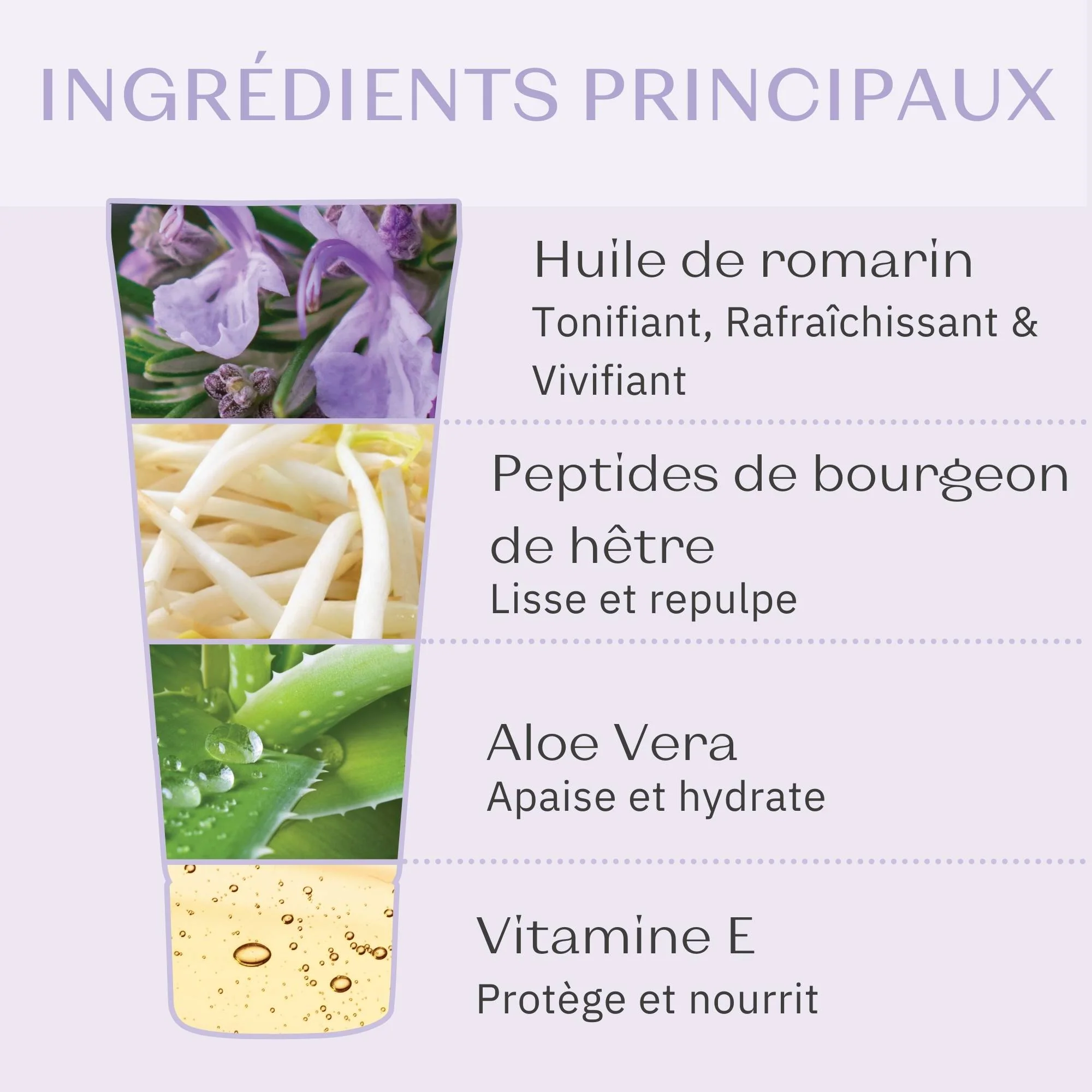 CADEAU Phyto-Contour - Image 4