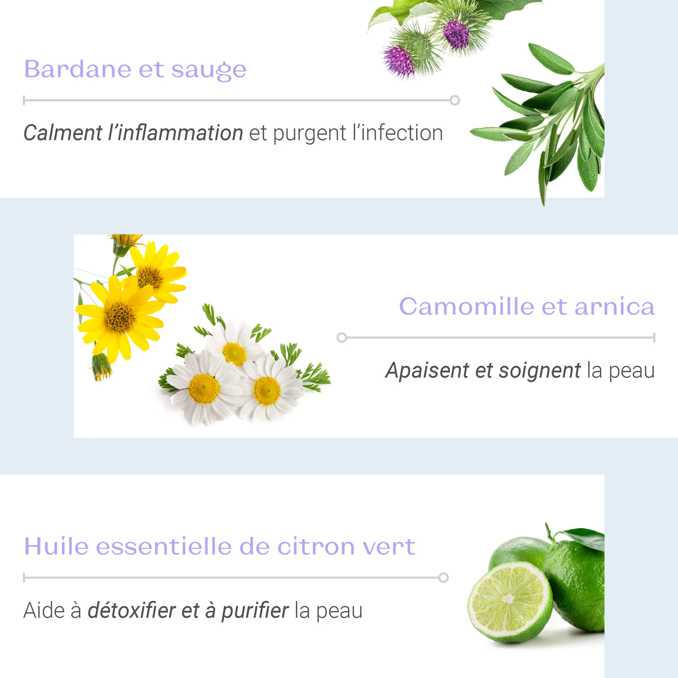 Crème 15 - Image 5