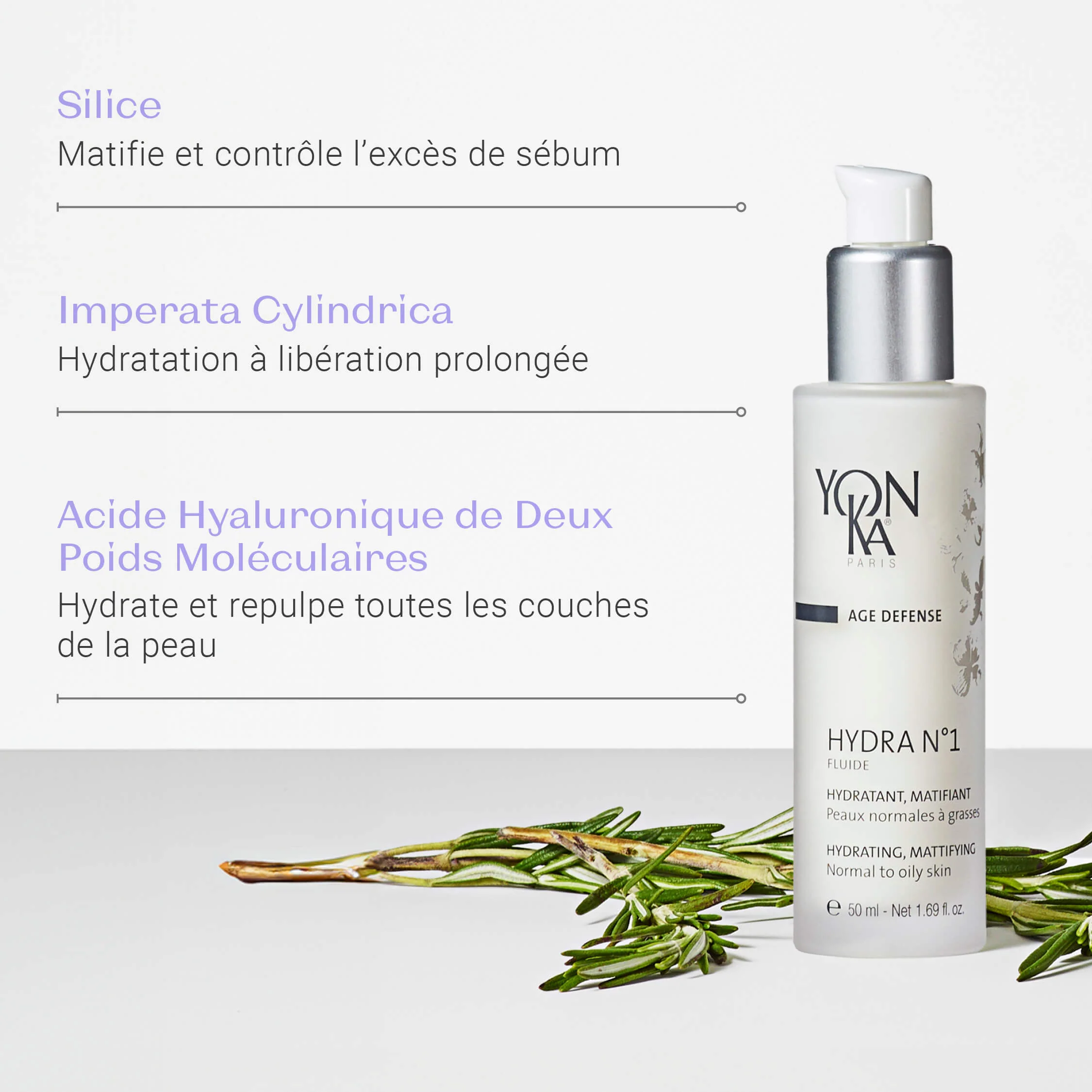 Hydra n°1 Fluide - Image 6