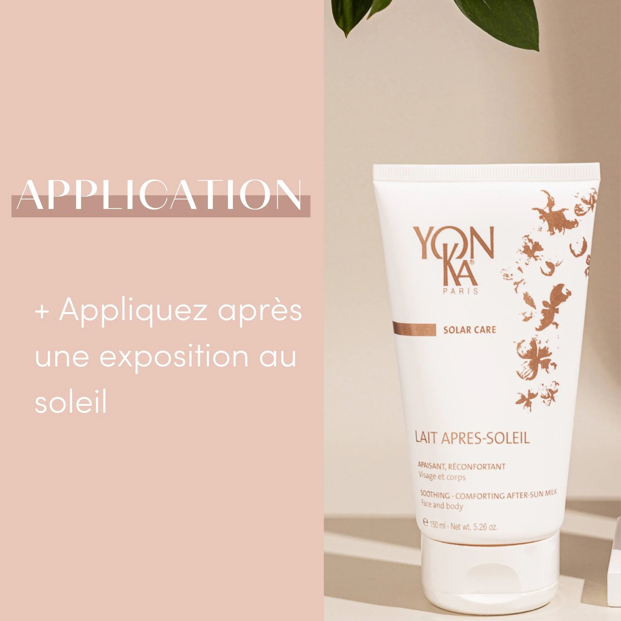 Lait Après-Soleil - Image 4