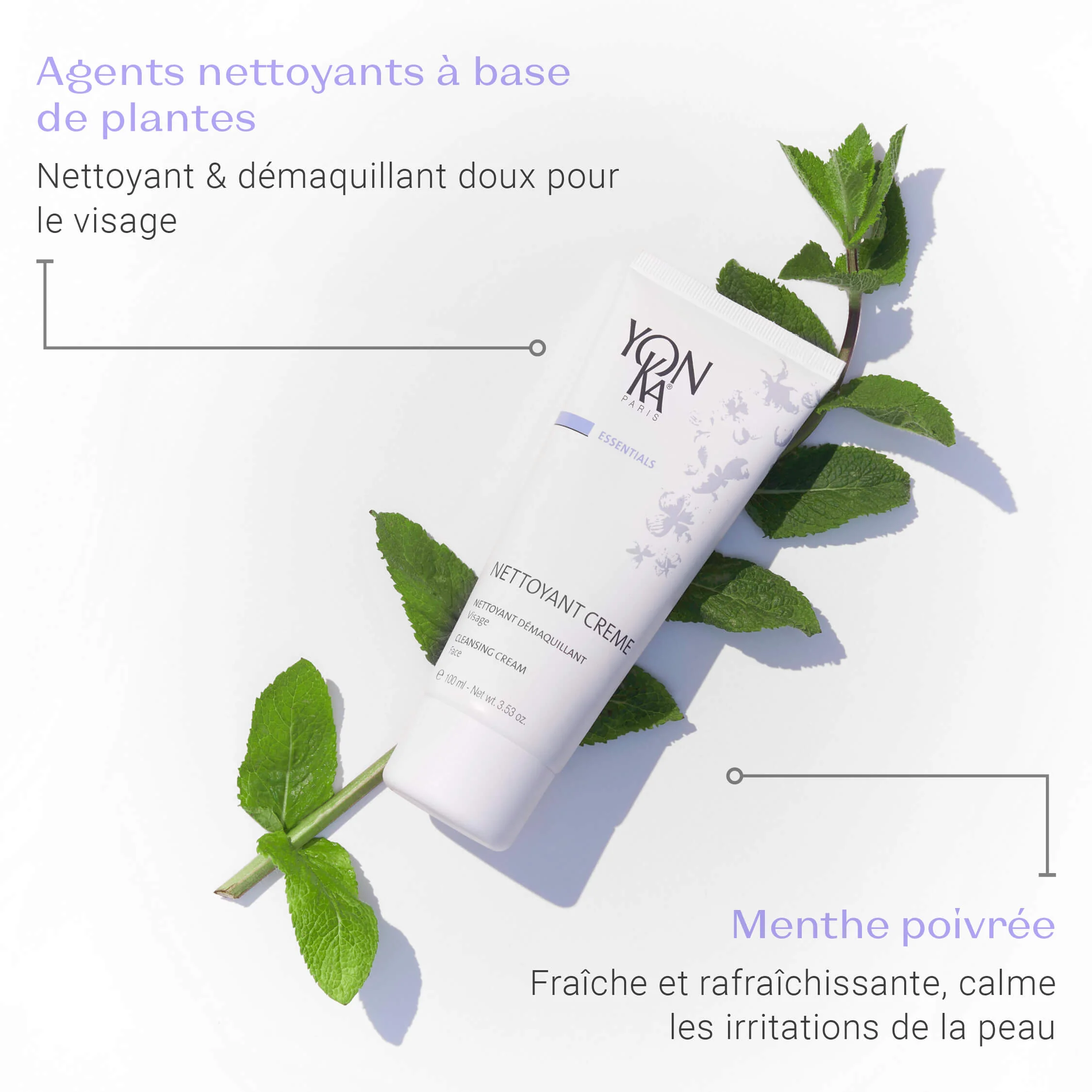 Nettoyant Crème - Image 6