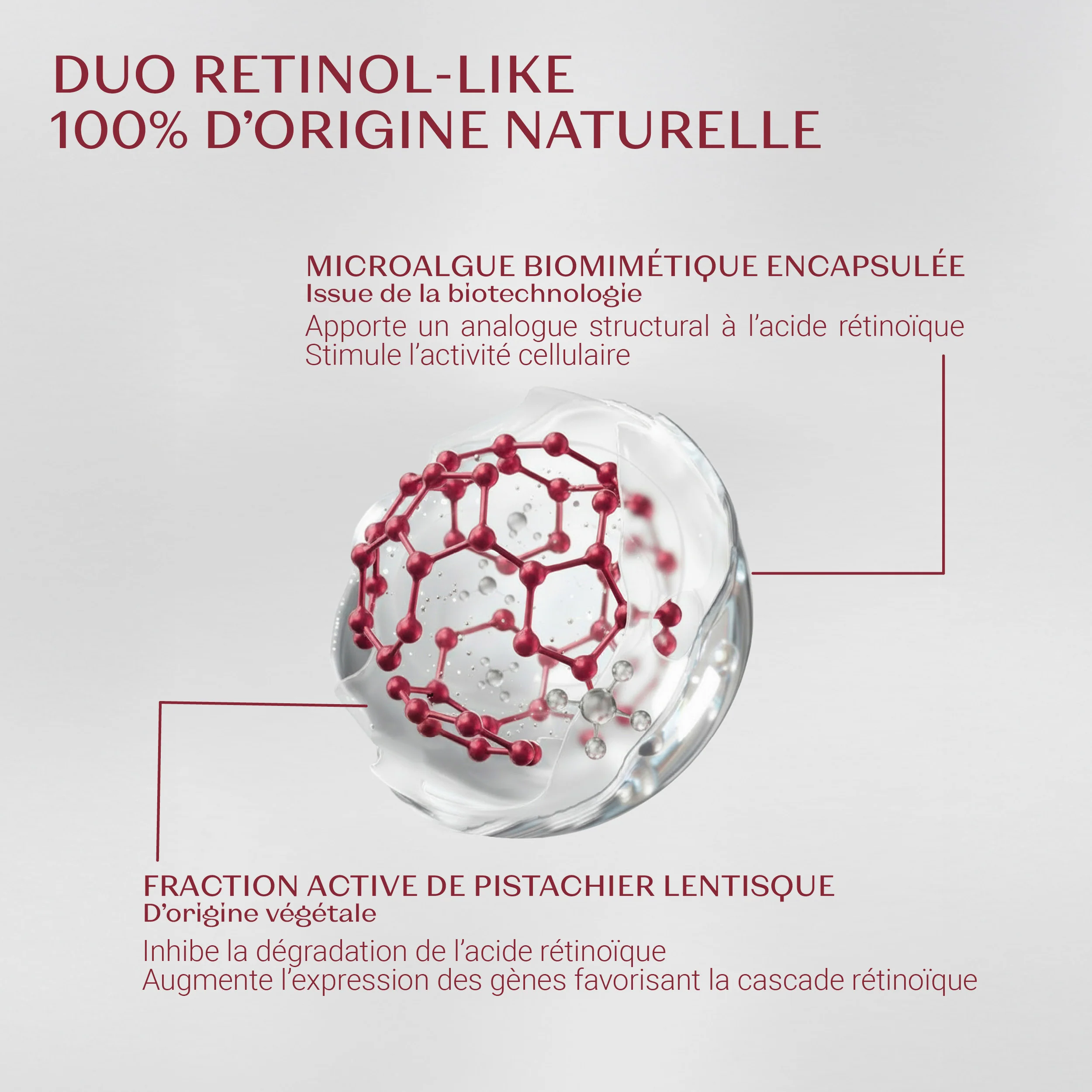 NOUVEAU Bi-Sérum Retinol-Like - Image 6