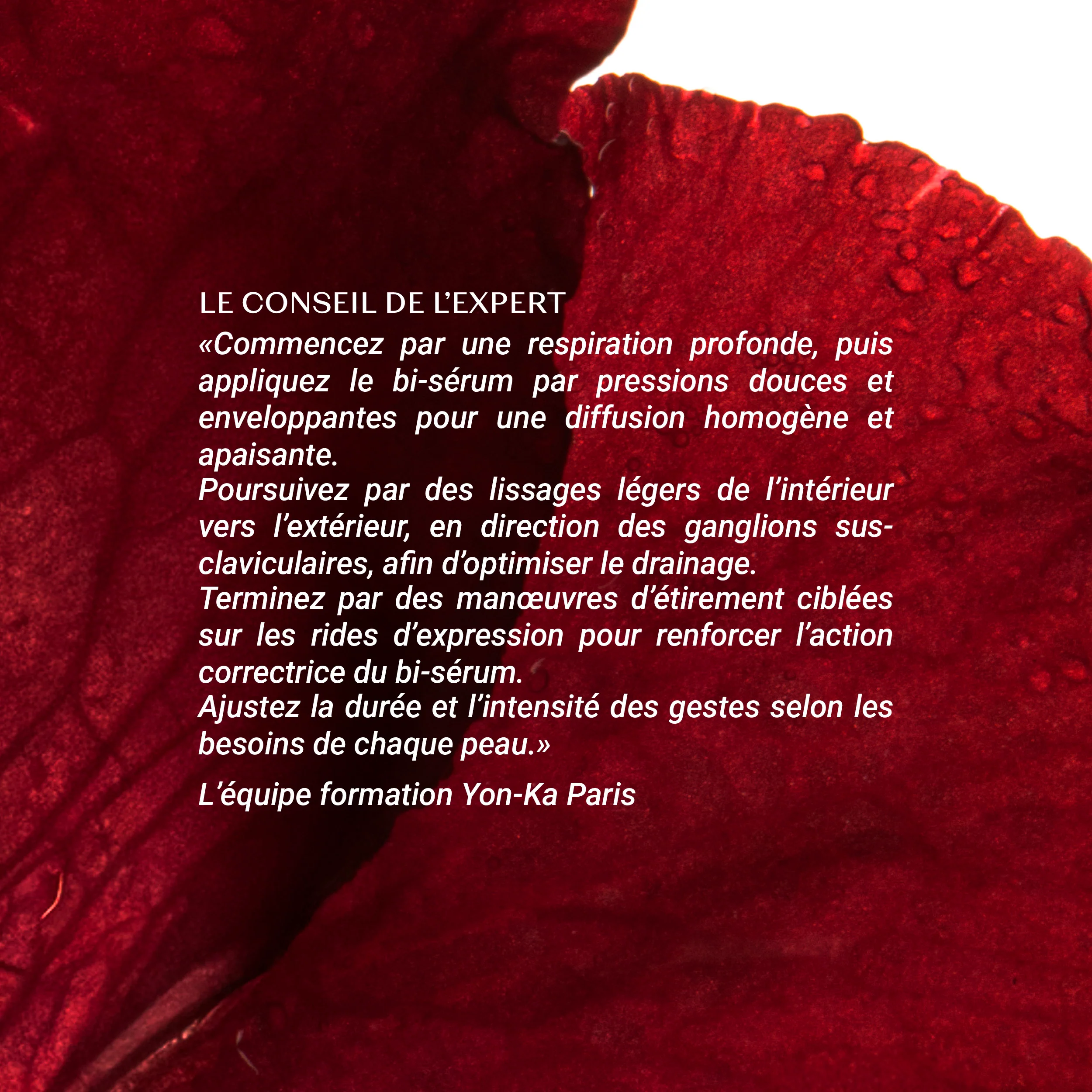 NOUVEAU Bi-Sérum Retinol-Like Format Voyage - Image 12