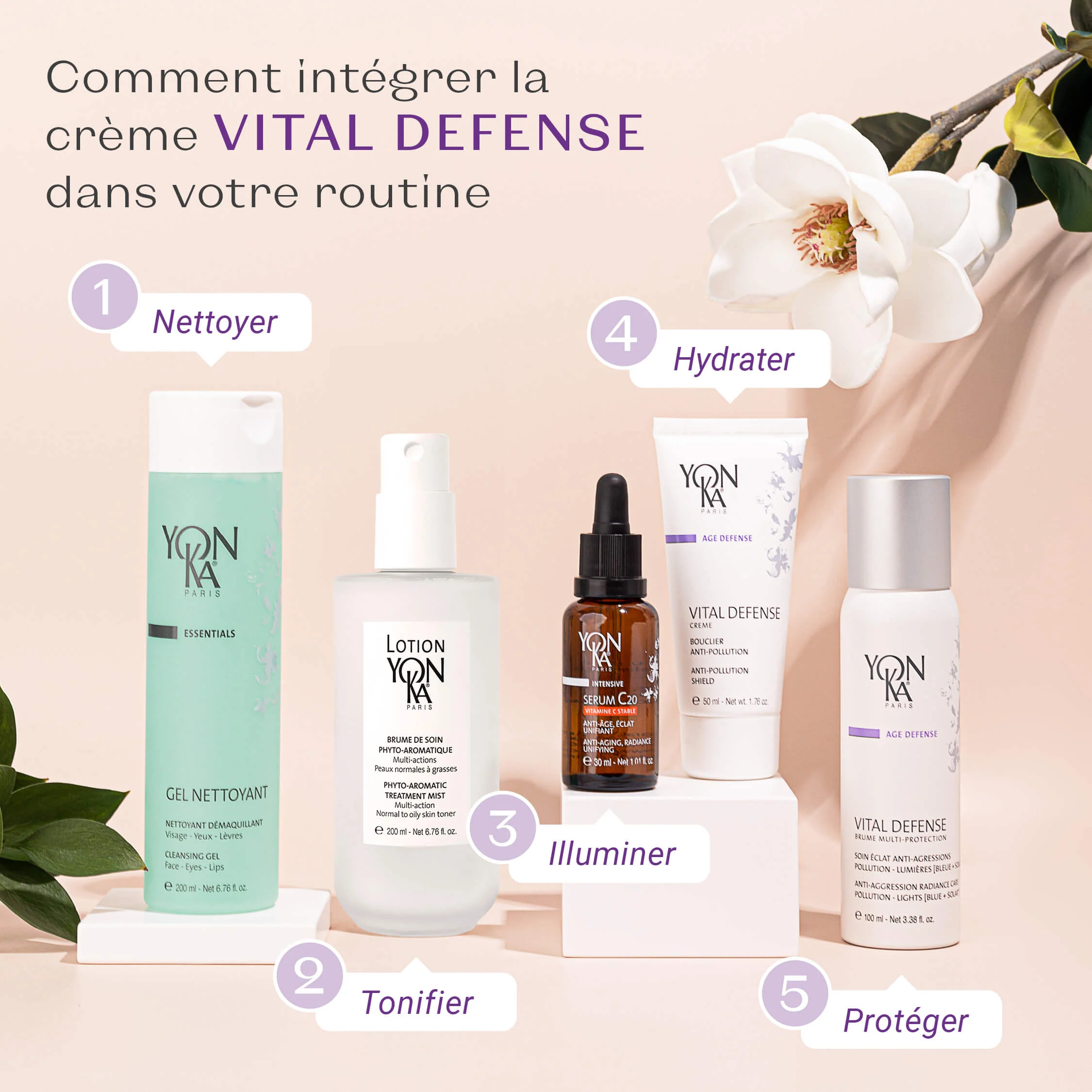 Vital Défense - Image 7